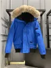 Designer canadense Mens piloto para baixo jaqueta real lobo pele com capuz lona parkas carta remendo quente grosso outwear mulheres inverno gansos jaquetas casacos d88