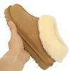 Tazz Slippers Tasman Slie Designer Womens Cotton Slippers Classic Ultra Mini Platform Mustard SeedLes Petitesスエードウール