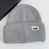 Простая вязаная лыжная шапка для пары моделей, зимняя теплая уличная утолщенная упаковочная шапка с ушками, ветрозащитные шапки