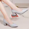 Dress Shoes Style Pointed Sexy Thick Heel Solid Color Fashion Versatile Wedding Banquet Celebrity Talon