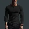 Men s Polos Long Sleeve polyester T shirt Mens Breathable Moisture Wicking Casual Spring autum Pullover Crew Neck Basic Tee Tops Man 231016