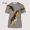 Mannen T-shirts 2023 Zomer Mode Schattige Dieren Tee Papegaai Kleurrijke Bloem Vogel Mannelijke En Vrouwelijke 3D Afdrukken Shirt