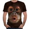 Мужские футболки с 3D принтом животных, обезьяна, футболка с коротким рукавом, забавный дизайн, повседневные топы, футболки, мужская футболка на Хэллоуин, 236s
