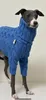 Hundebekleidung, warmer Winter-Haustier-verdickter Pullover, stilvoller Rollkragenpullover, italienische Windhund-Kleidung, Whippet