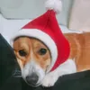 犬のアパレルニット年猫ウールハットペットソフト冬の温かい赤いクリスマスパーティー