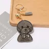 Hot Selling Classic Cartoon Hot Diamond Keychain Fashionabla japanska och koreanska väska med Diamond Tassel Bag Pendant