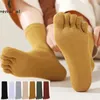 Women Socks 5 par Finger Cotton Solid Young Fashion Soft Elastic Sweat-Absorbering Deodorant Toe Harajuku 4 Seasons