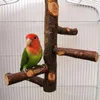 Other Bird Supplies Pet Parrot Stand Solid Wood Standing Stick Pole Biting Molar Claw Grinding Toy Cage