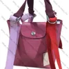 Luxury Longcham bags 2023 New Contrast Color Handbags Replays Small Underarm bag Strap Tote Bags Hand Carrying Bag Mini Hobo bags Women Classic Coin Mobile Phone Bag