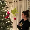 Decorazioni verdi Grinch Arm Anno Portaornamenti pelosi L'albero per la vendita della festa in casa di Natale 2024