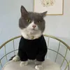 Lyx husdjurskläder p designer kattkläder hundkläder vinter varm stickad tröja djurkläder med brev husdjur tröja mode 3 färger