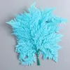 Flores decorativas 10 peças folhas de samambaia secas preservadas naturalmente feitas festa alpina acessórios de decoração de casa casamento mariage natureza material diy