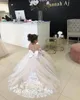 Graceful A Line Lace Flower Girl Dresses For Wedding Champagne Long Sleeves Toddler Pageant Gowns Tulle Sweep Train First Holy Communion Little Baby Birthday