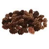 Juldekorationer 60 st mini dekorativa pinecone tallkottar hösten vinterhelg hem dekoration 231017