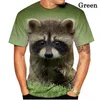 Herren-T-Shirts, Waschbär-T-Shirts, 3D-Tierdruck, niedliches Design, T-Shirt, modisch, Damen/Herren, Sommer-Shirt, Tops, XS-5XL