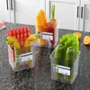 Kitchen Storage Refrigerator Side Door Food Box / Fruit And Vegetable Seasoning Classification Fridge Organizer Accessories
