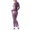 Erotic Sexy Clear Pvc Turtleneck Long Sleeve Sheath Zip Split Maxi Dress Transparent Hobble Bodycon Long Dress Lingerie S-7xlAnime Costumes