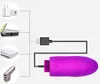 大人のおもちゃUSB充電ワイヤレスリモートコントロール振動卵クリトリス刺激装置膣マッサージボールGSPOTバイブレーター女性231017