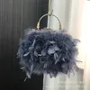 Avondtassen Luxe Struisvogelveren Tassel Tas Voor Vrouwen Herfst Winter Diner Banket Koppelingen Metalen Handvat Handtassen Party Clutch