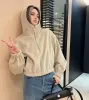 Korta snygga huvtröjor Designer Kvinnors Casual Top Autumn Winter Fashion Thick Coat Triangle Cashmere Half-Zip Hoodie