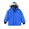 Veste d'hiver en duvet d'oie canadienne pour hommes, grande fourrure, vêtements à capuche, lettres imprimées, vêtements d'extérieur de styliste, 922