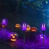 6-packs zonne-verlichting buitentuin, 12LED zonne-vlam zaklamp met paarse vlam voor Halloween-decoraties, tuin, terras, halverlichting, vakantiedecoraties