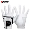 Sporthandskar PGM Men Golf White Breattable Kid Lambskin äkta läder Sport Handhandskar slitage Singel vänster Högerhänt Batting ST022 231017