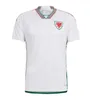 2023 Wales Men Soccer Courcer Bale Wilson Allen Ramsey Johnsin 22 23 World INGURE CUST RODON VOKES Home Football Syrts Adult Kids kit shiforms S-4XL 66