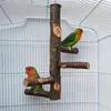 Other Bird Supplies Pet Parrot Stand Solid Wood Standing Stick Pole Biting Molar Claw Grinding Toy Cage