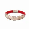 Bracelet magnétique en cuir, 10 pièces, bijoux de style personnalisé DST sororité divine fraternité Delta Sigma Theta, bracelet 258i