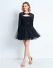 Party Dresses Elegant A-Line Net Cocktail For Women Scoop Neck Long Sleeves Short/Mini Homecoming Tulle With Lace Appliques