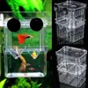 Decoraties Aquarium Viskweekbox Huisdier Aquarium Guppy Dubbele kweek Fokker Opfok Broederij Splits Aquarium Schildpad Reptielenhuis 231016