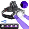 Açık Gadgets 3000lm 3led far UV 395nm Torçlu Pet Pet Eşyaları Damin Dış Far Su Geçirmez USB Kafa Yeşil/Kırmızı Av Feneri 231018