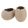 Vasos 2 Pcs Pequeno Ovo Shell Vaso Criativo Flor Chic Cactus Decorações Home Pots Plantio Ornamento Decorativo Óculos