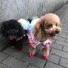 Hundkläder 4st små storlekar hundar mesh sandaler andningsbara sommarskor säkerhet reflekterande antislip sneakers för valp teddy husdjur leveranser