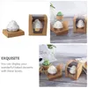 Ta ut containrar 10 datorer Portable Cake Box Clear Dessert Single Cupcake Carrier Kraft Paper