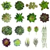 Fleurs décoratives plantes succulentes artificielles fausses décorations-Airbin paquet de 19 plantes succulentes grande quantité et longue longueur