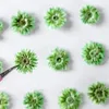 Decorative Flowers 60pcs Pressed Dried Anaphalis Flower Dry Plants For Epoxy Resin Pendant Necklace Jewelry Making Craft DIY Accessories