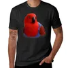 Polos masculinos bela senhora em vermelho eclectus parrot camiseta edição camiseta verão top camisas gráficas homens