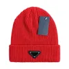 2024 Chapeaux en tricot de créateurs de haute qualité Hivert Wolin Wainlen Bamans chauds pour hommes et femmes Hat à extérieur de la mode pour femmes Cascade Cascil Skull P-4
