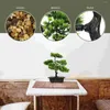 装飾的な花のシミュレーションウェルカムパインボンサイ偽の装飾人工屋内植物緑の装飾小さなフェイクテーブルツリーポットホーム