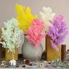 Decorative Flowers Preserved Fresh Plant Real Nature Home Floral Table Decor Party Penglai Pine DIY Flower Wedding Mariage Gift Eternelle