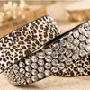 Bälten Retail Women's Belt of Leopard Mönster Läder Rhinestone Studded Belt Rivet Strap Tail Belts For Women 3,3 cm Bredd 231017