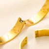 Designer Tiffanyset Charm -armband Högkvalitativ trendmärke lyxiga smycken Tiffanybracelet Women Classics Geometric Zircon Lock Rose Gold Tiffancy Halsband 195