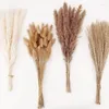 Fleurs décoratives 100/70 pièces Pampas séchées naturelles Boho décor scirpe roseau herbe pour remplissage de vase ferme maison fête arrangement de mariage