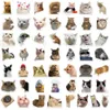 50個の猫の表現パックグラフィティステッカー装飾用荷物ペンギターノートの防水ステッカーのためのステッカー