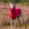 Abbigliamento per cani Gilet invernale in pile Whippet Abbigliamento levriero italiano Dolcevita morbido 231017