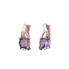 Boucles d'oreilles créoles en cristal violet, pierre ronde, Zircon blanc, petit pour femmes, Vintage, couleur or Rose, bijoux minimalistes de mariage