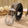 Bälten Retail Women's Belt of Leopard Mönster Läder Rhinestone Studded Belt Rivet Strap Tail Belts For Women 3,3 cm Bredd 231017