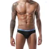 Underpants Style Men's Underwear Solid Color Modal Double-layer U Convex Large Bag Fashion Young Men Sexy Comfortable Briefs